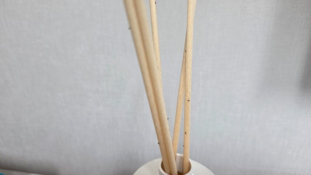 온크린 뿌리파리 방역 작업