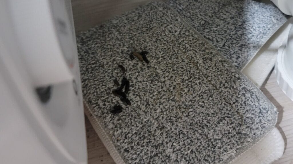 온크린 쥐 방역 작업