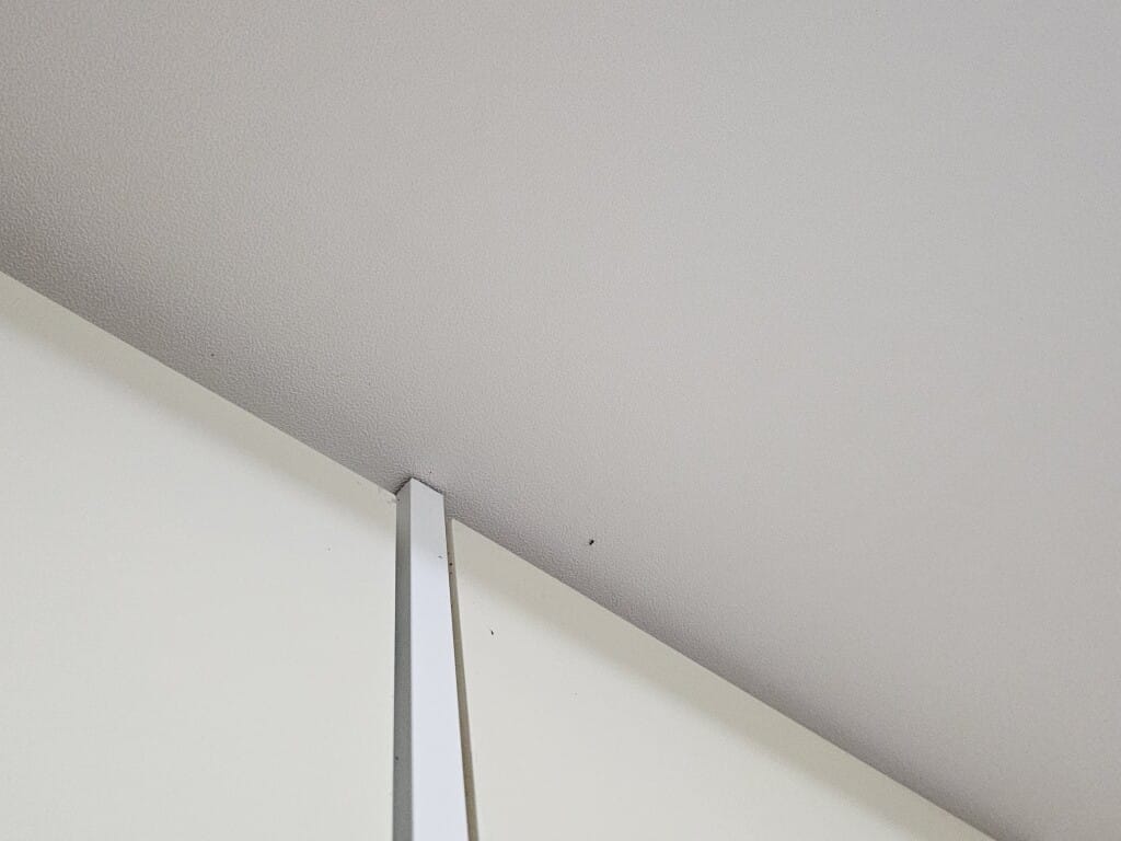 오피스텔 붙박이장 위 모서리 바퀴벌레 새끼